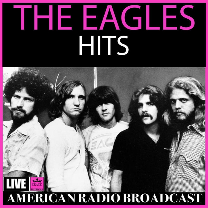 Eagles 老鹰乐队 1976 Live In Houston Bootleg [DVD原盘] VHS转录双版本3.42G+4.16G