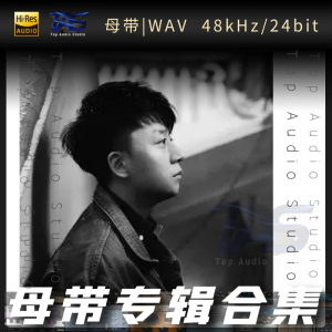 歌手-张磊[WAV格式母带专辑合集]  无损音乐