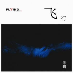 歌曲-Flying 飞行  爵士无损音乐/DSD/FLAC