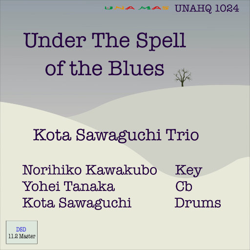 歌曲-在布鲁斯的魔力下 (Under The Spell Of The Blues) (11.2MHz DSD)  爵士无损音乐/DSD/FLAC