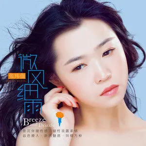 歌曲-微风细雨  无损音乐[FLAC]