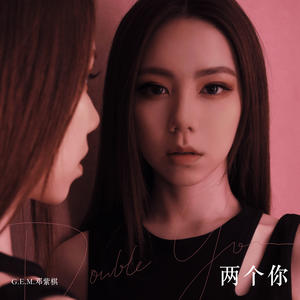 歌曲-两个你  无损音乐[FLAC]