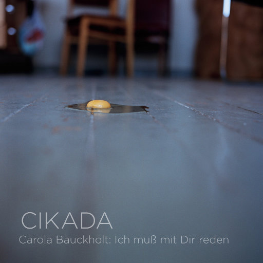 古典-Carola Bauckholt: Ich muß mit Dir reden [5.1CH/DSD]  无损音乐DSD