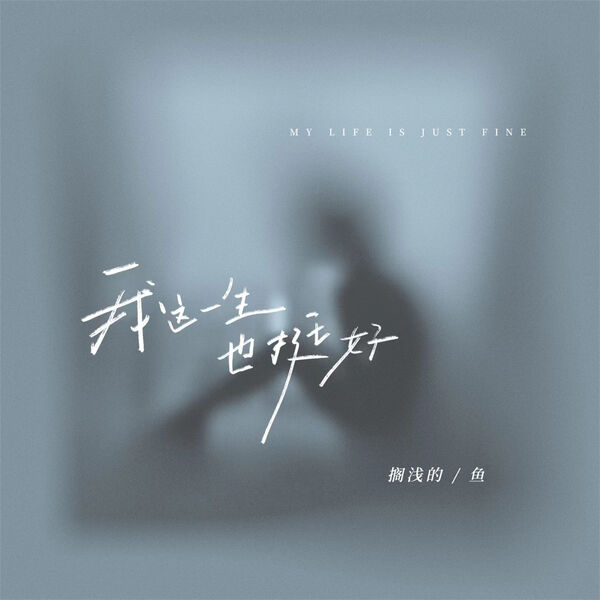 歌曲-我这一生也挺好  无损音乐[FLAC]