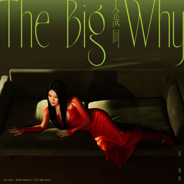 歌曲-大哉问 (THE BIG WHY)  无损音乐[FLAC]