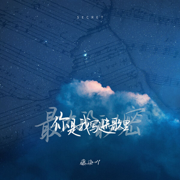 歌曲-你是我写进歌里最大的秘密  无损音乐[FLAC]