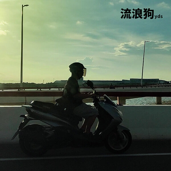 歌曲-流浪狗  无损音乐[FLAC]