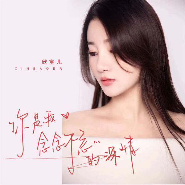 歌曲-你是我念念不忘的深情 (DJ版)  无损音乐[FLAC]