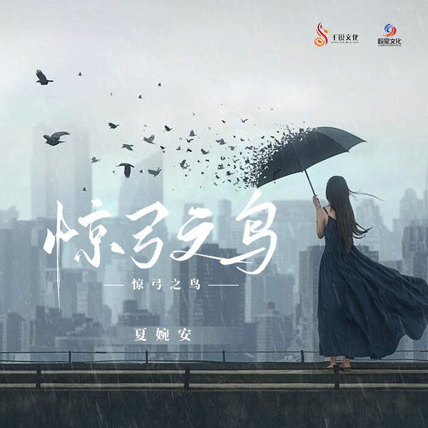 歌曲-惊弓之鸟  无损音乐[FLAC]