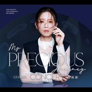 歌曲-My Precious Journey (Live)  无损音乐[FLAC]