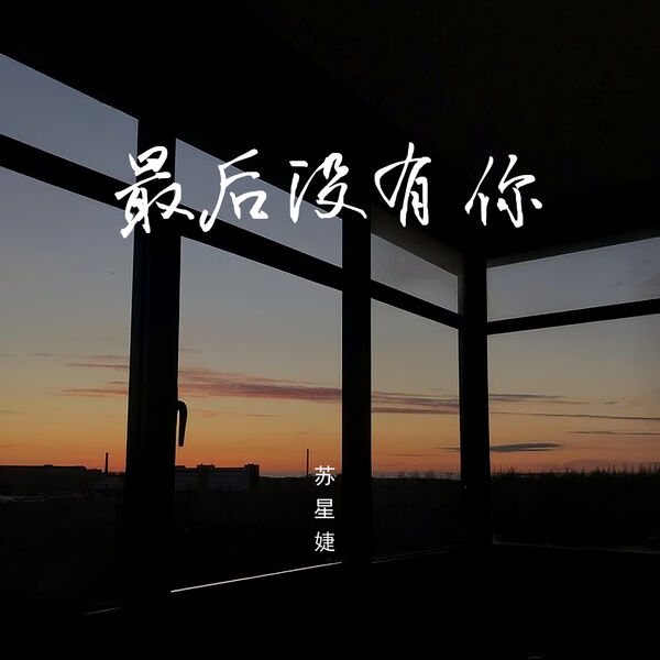 歌曲-最后没有你 (女声版)  无损音乐[FLAC]