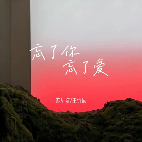 歌曲-忘了你忘了爱  无损音乐[FLAC]