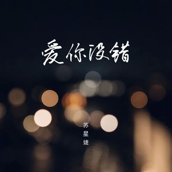 歌曲-爱你没错  无损音乐[FLAC] 1