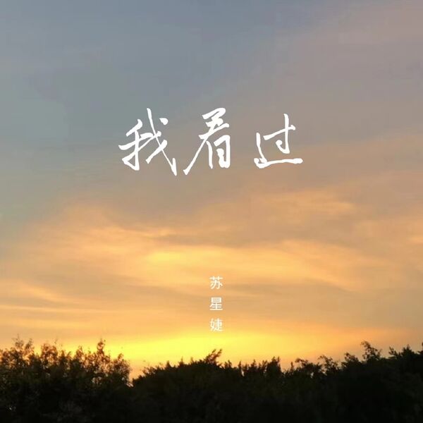 歌曲-我看过  无损音乐[FLAC]