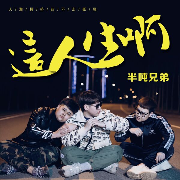 歌曲-这人生啊 (DJ默涵版)  无损音乐[FLAC]