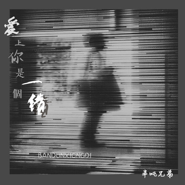 歌曲-爱上你是一个错 (DJ桃子阿版)  无损音乐[FLAC]