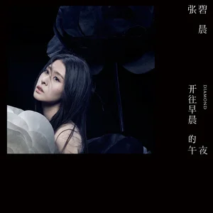 歌曲-开往早晨的午夜  无损音乐[FLAC]