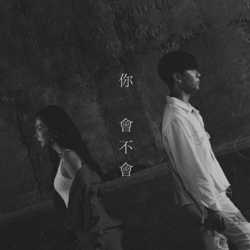 歌曲-你会不会  无损音乐[FLAC]