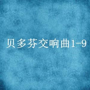 古典-贝多芬交响曲 [ 五 ] D小调第九交响曲“合唱”作品125号  无损音乐FLAC