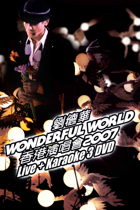 刘德华 Wonderful World 香港演唱会2007 卡拉OK 3[DVD原盘][DVD原盘] （ISO）19.74GB