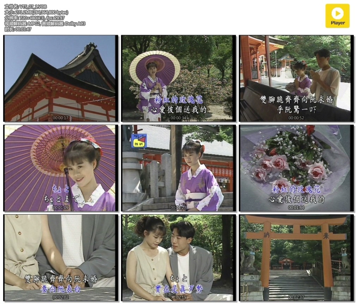 歌手-[詹雅雯  日本大阪京都之旅][KTV][2DVD原盘-ISO][6.74G]网盘下载