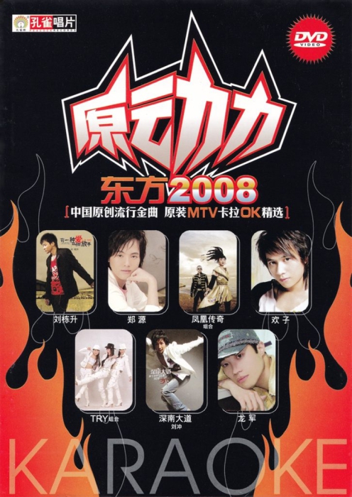 歌手-[群星  原动力东方2008卡拉OK(孔雀廊)][KTV][DVD原盘ISO][3.97G]网盘下载