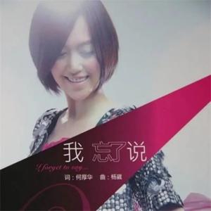 歌曲-我 忘了说  无损音乐[FLAC]