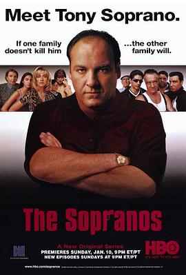 [蓝光剧集]黑道家族 1-6季 The Sopranos Season 1-6 (1999-2006) / The.Sopranos.S01-S06.1080p.BluRay.REMUX.AVC.DTS-HD.MA.5.1-NOGRP[rartv]-高清