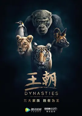 [BT下载4K]王朝 第一季 Dynasties.2018.S01.2160p.BluRay.HEVC.DTS-HD.MA.5.1-HDBEE-高清