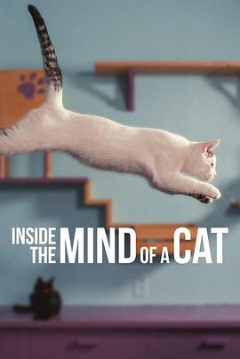 [BT下载4K]喵星人的奇思妙想 / Inside.the.Mind.of.a.Cat.2022.2160p.NF.WEB-DL.x265.10bit.HDR.DDP5.1-KKKK-高清