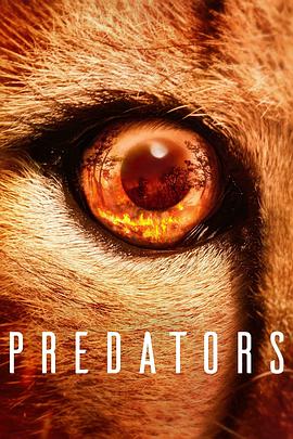 [BT下载4K]食肉动物 Predators (2022) / Predators – Jäger in Gefahr(德) / 捕食者の世界(日) / Predadores do Mundo Animal(巴西) / 4K纪录片下载 / Predators.2022.S01.2160p.NF.WEB-DL.DDP5.1.Atmos.DV.HDR.H.265-FLUX-高清