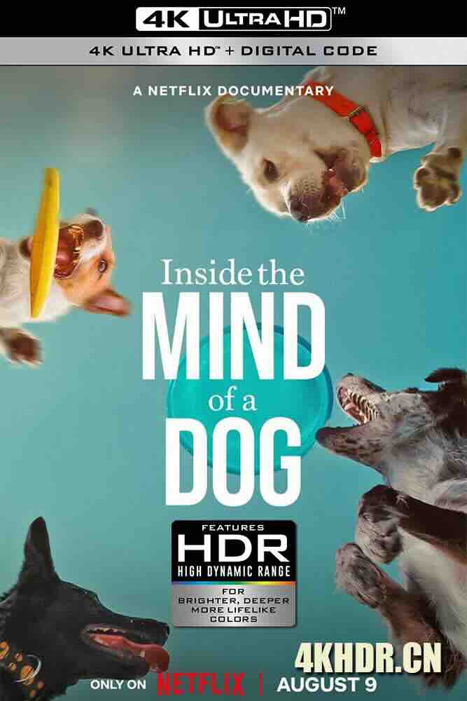 [BT下载4K]汪星人的奇思妙想 Inside the Mind of a Dog (2024) /美国/豆瓣: 7.2-高清