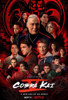 [BT下载]眼镜蛇 第五季 Cobra.Kai.S05.2160p.NF.WEB-DL.x265.10bit.HDR.DDP5.1-DONUT…-高清美剧