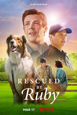 [BT下载4K]义犬救主 Rescued.by.Ruby.2022.2160p.NF.WEB-DL.x265.10bit.HDR.DDP5.1.Atmos…-高分电影