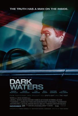 [BT下载4K]黑水 Dark.Waters.2019.2160p.AMZN.WEB-DL.x265.10bit.HDR.DTS-HD.MA.5.1-SWTYBLZ-高分电影